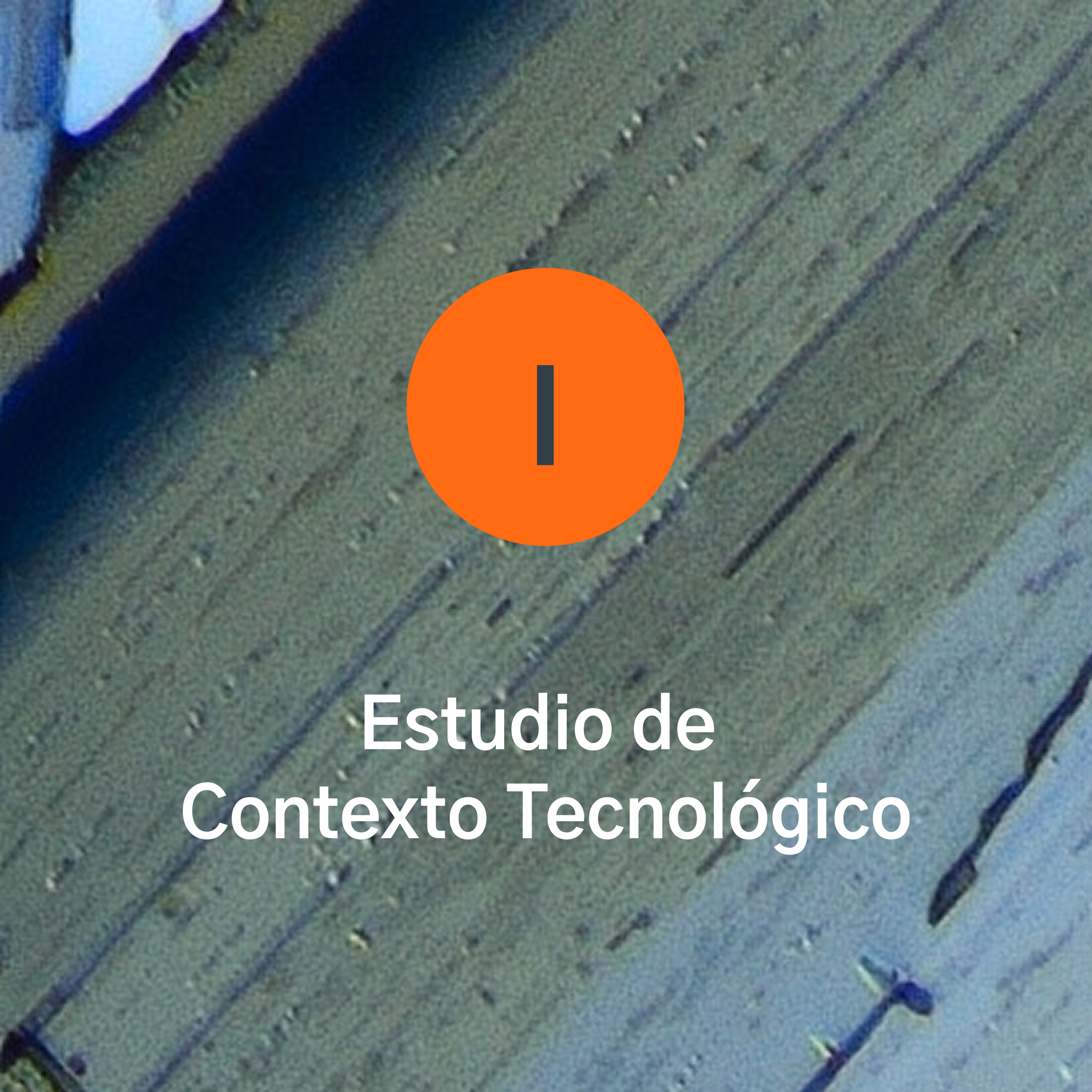 Proyecto 1