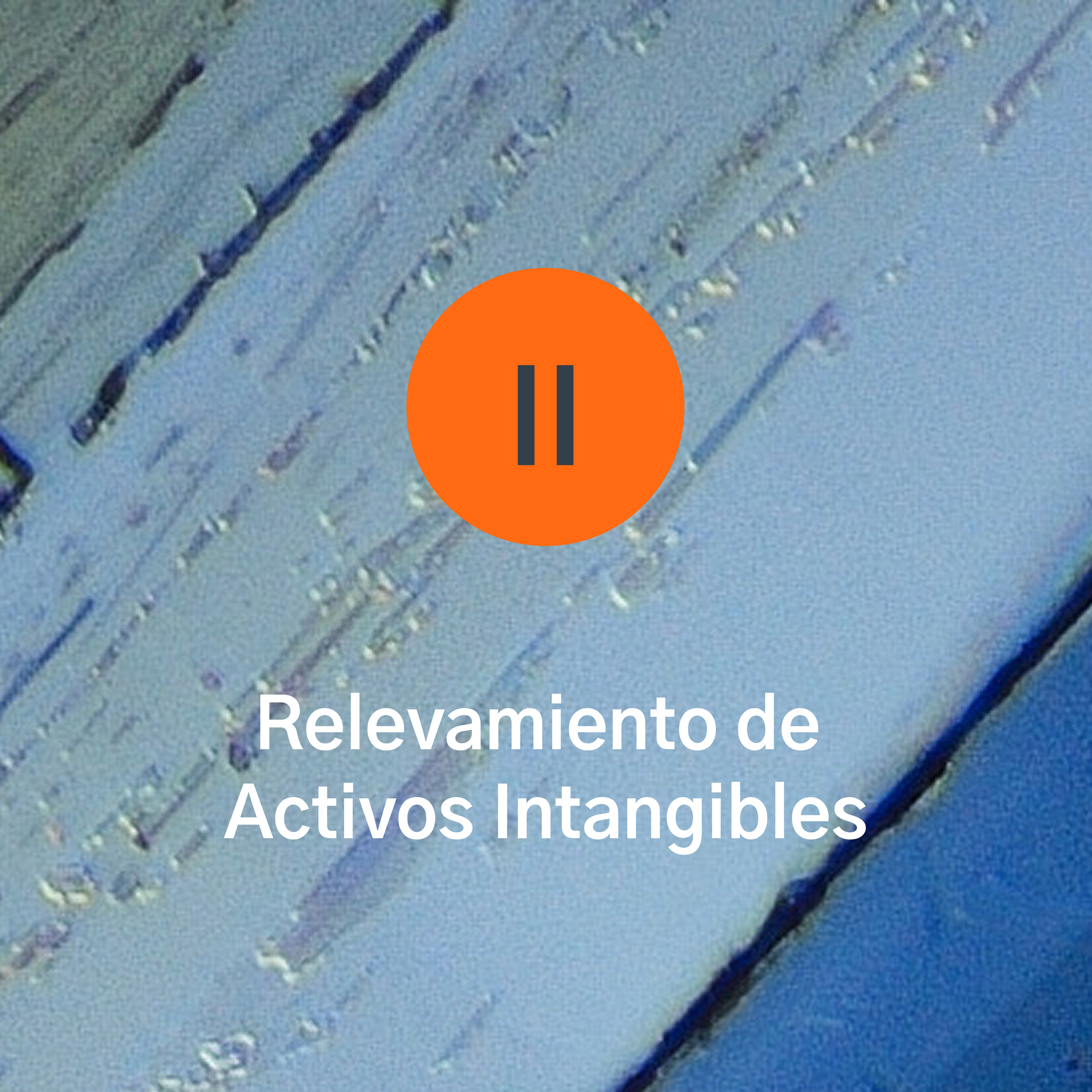 Proyecto 2