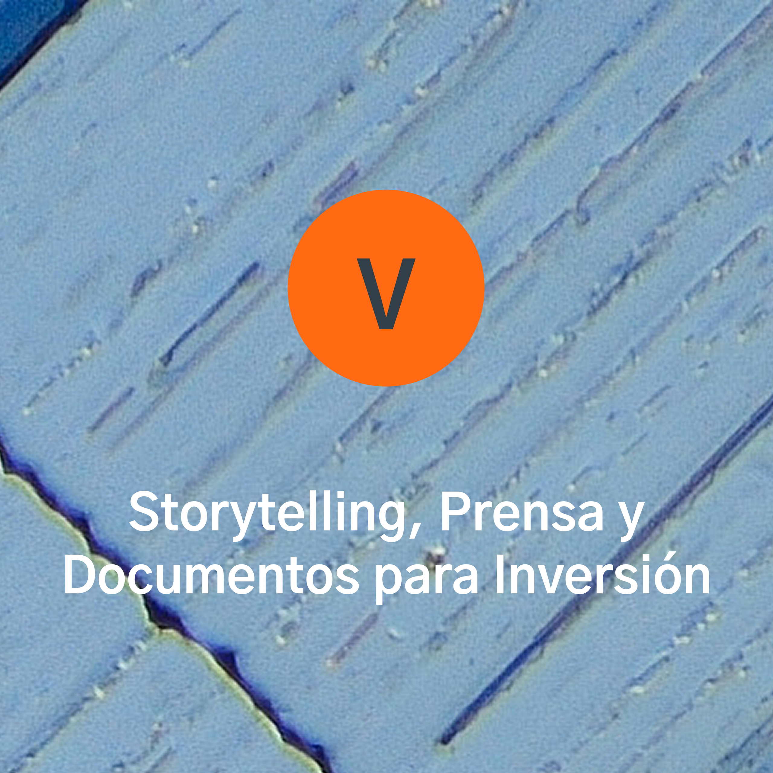 Proyecto 5