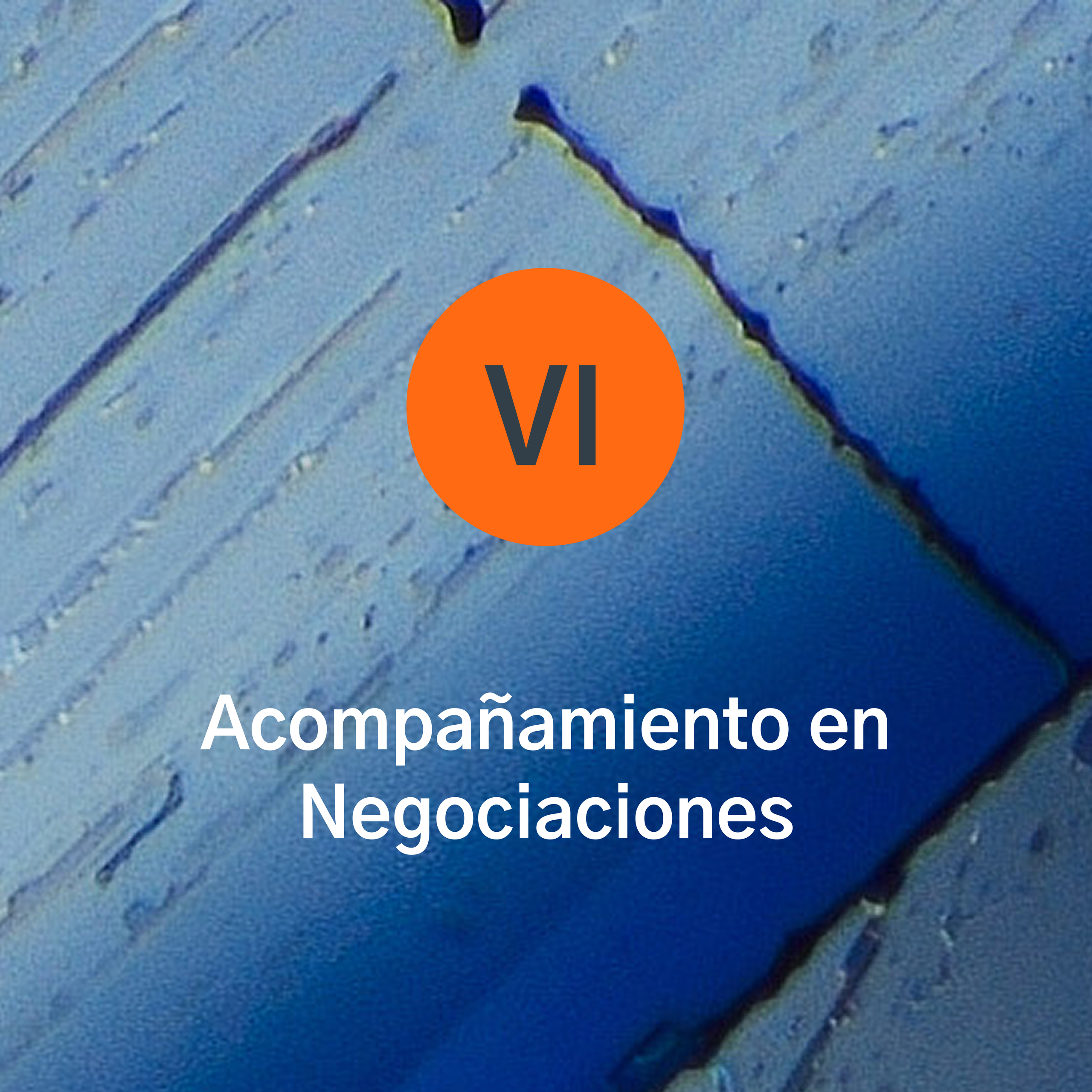 Proyecto 6
